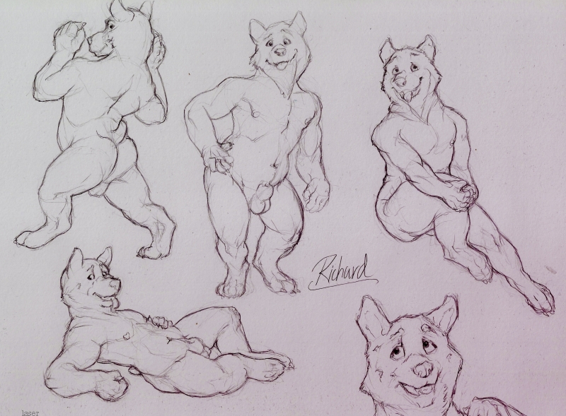 animal_genitalia anthro balls butt fangs fully_sheathed genitals male nipples nude open_mouth sheath simple_background solo teeth tongue tongue_out laser_(artist) canid mammal 2016 monochrome sketch sketch_page