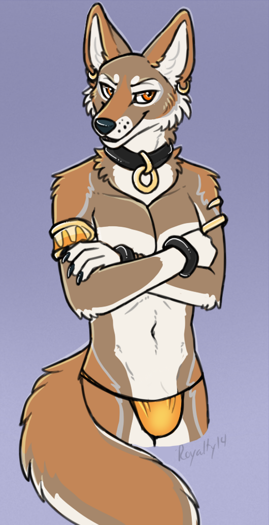 amber_eyes anthro claws clothed clothing collar crossed_arms ear_piercing jewelry male navel open_mouth piercing simple_background smile solo thong topless underwear royalty_(artist) terak canid canine canis coyote mammal