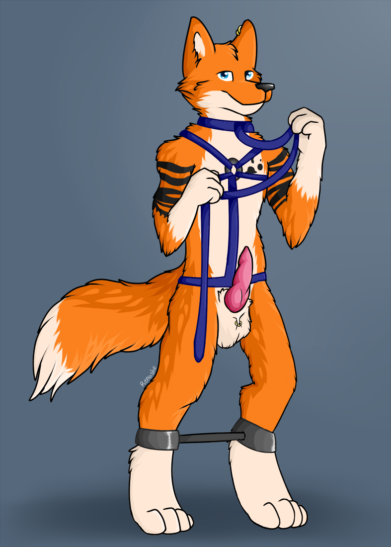 anthro balls bdsm bondage bound chest_markings erection footprint genitals harness male markings nude pawprint pawprint_(marking) penis solo renashe jay-lel canid canine fox mammal