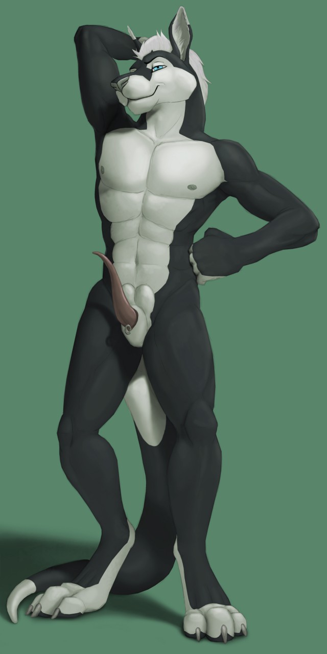 3_toes 5_fingers abs anatomically_correct anatomically_correct_balls anatomically_correct_genitalia anatomically_correct_penis animal_genitalia animal_penis anthro balls balls_above_penis big_feet biped black_body black_fur black_pawpads blue_eyes claws digitigrade dipstick_ears dipstick_tail ear_markings erection feet fingers fur furgonomics furry-specific_piercing genital_piercing genitals grey_nipples grey_nose hand_behind_head hand_on_hip head_tuft hindpaw looking_at_viewer male male_anthro markings marsupial_penis multicolored_ears muscular muscular_anthro muscular_male nipples nude pawpads paws pecs penis piercing pink_penis pose ring_piercing sheath sheath_piercing sheath_ring simple_background smile solo standing tail tail_markings tapering_penis thick_tail toe_claws toes tuft white_body white_claws white_fur virtyalfobo amon_bars kangaroo macropod mammal marsupial 1:2 hi_res shaded soft_shading