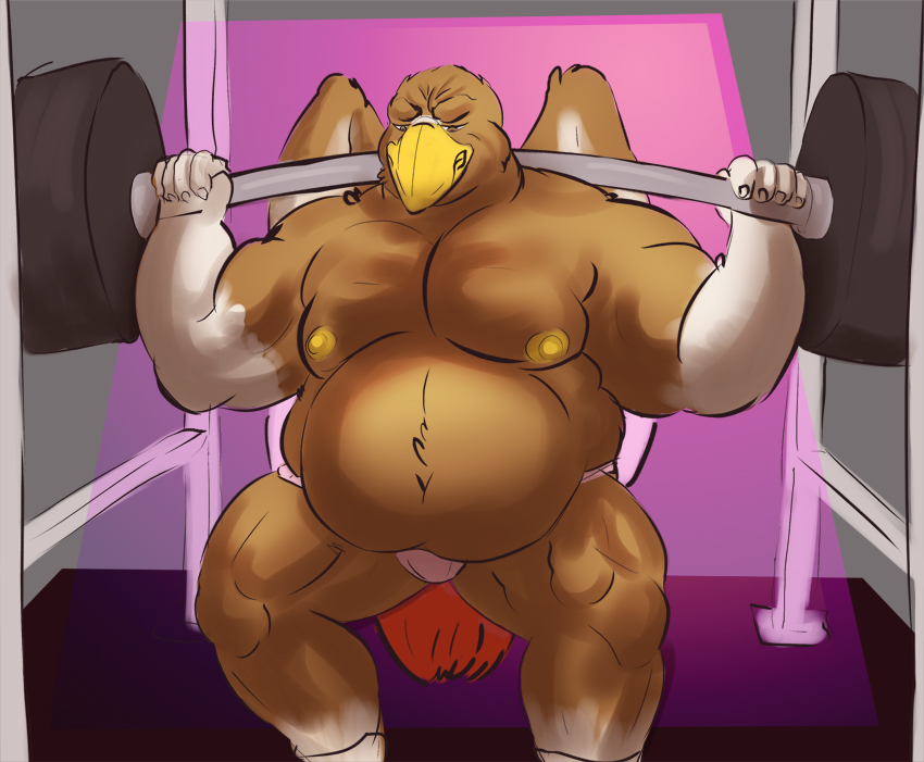 5_fingers anthro areola beak belly biceps big_belly biped black_eyebrows bottomwear brown_body brown_eyes brown_feathers bulge clothed clothing crouching dumbbell exercise eyebrows feathered_wings feathers fingers front_view jockstrap male moobs multicolored_body multicolored_feathers musclegut muscular muscular_anthro muscular_male muscular_thighs narrowed_eyes nipples non-mammal_nipples overweight overweight_anthro overweight_male quads red_body red_feathers skimpy solo tail tail_feathers thick_thighs underwear weightlifting weights white_body white_feathers winged_arms wings workout yellow_areola yellow_beak yellow_nipples tcw infernous accipitrid accipitriform avian bird buteo chickenhawk red-tailed_hawk 2015 digital_media_(artwork) shaded