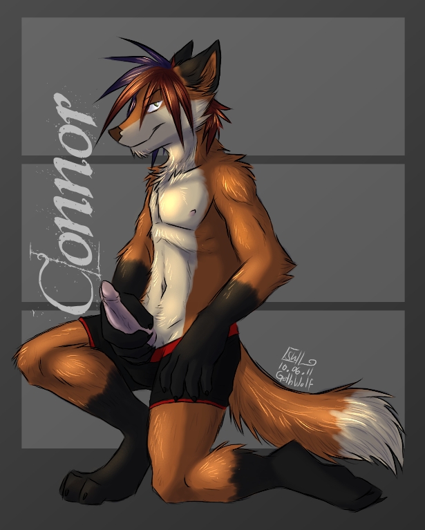 5_fingers anthro black_clothing black_underwear boxer_briefs claws clothed clothing dipstick_tail erection fingers genitals geometric_background grey_background kneeling looking_at_viewer male markings navel nipples nude penis pose simple_background smile solo tail tail_markings text underwear underwear_only gothwolf connor canid canine fox mammal 2011 digital_media_(artwork) english_text signature