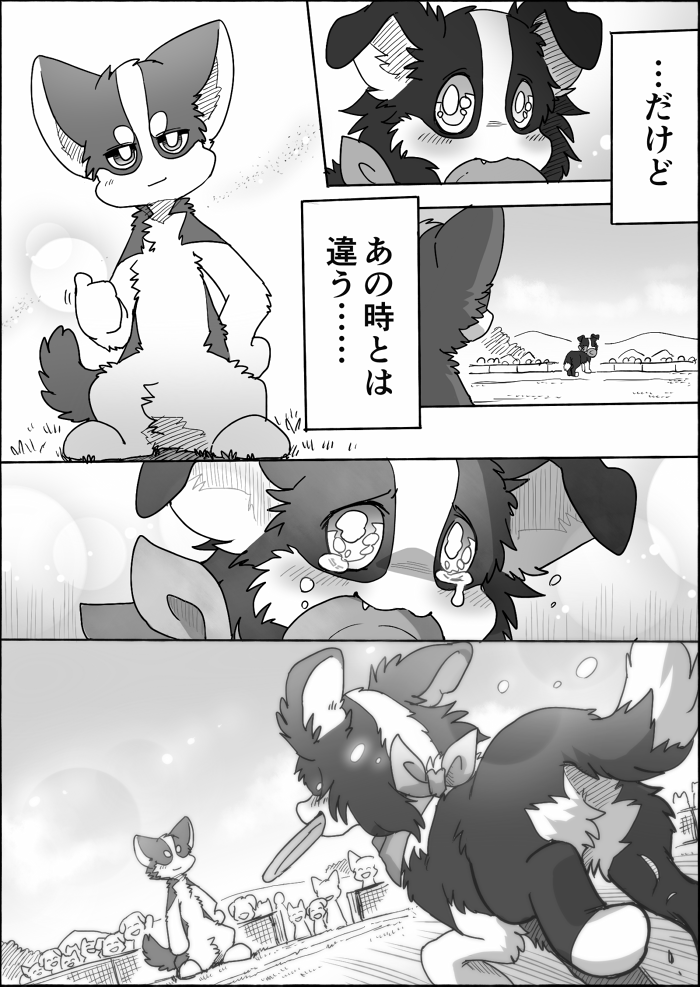 duo female feral frisbee male text ayaka anna_(ayaka) shibeta canid canine canis collie domestic_dog herding_dog husky mammal nordic_sled_dog pastoral_dog sheepdog spitz 2021 comic japanese_text monochrome right_to_left translated