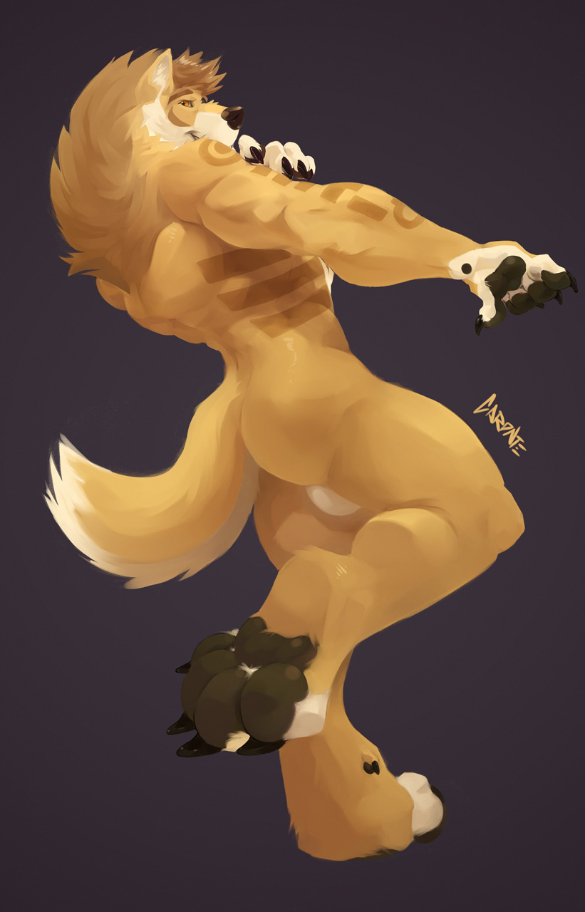 anthro athletic athletic_anthro athletic_male balls biped butt fluffy fur genitals looking_at_viewer male markings nude painting paws pose simple_background solo standing caronte diegodadingo canid canine canis dingo mammal 2021 digital_media_(artwork) digital_painting_(artwork) hi_res