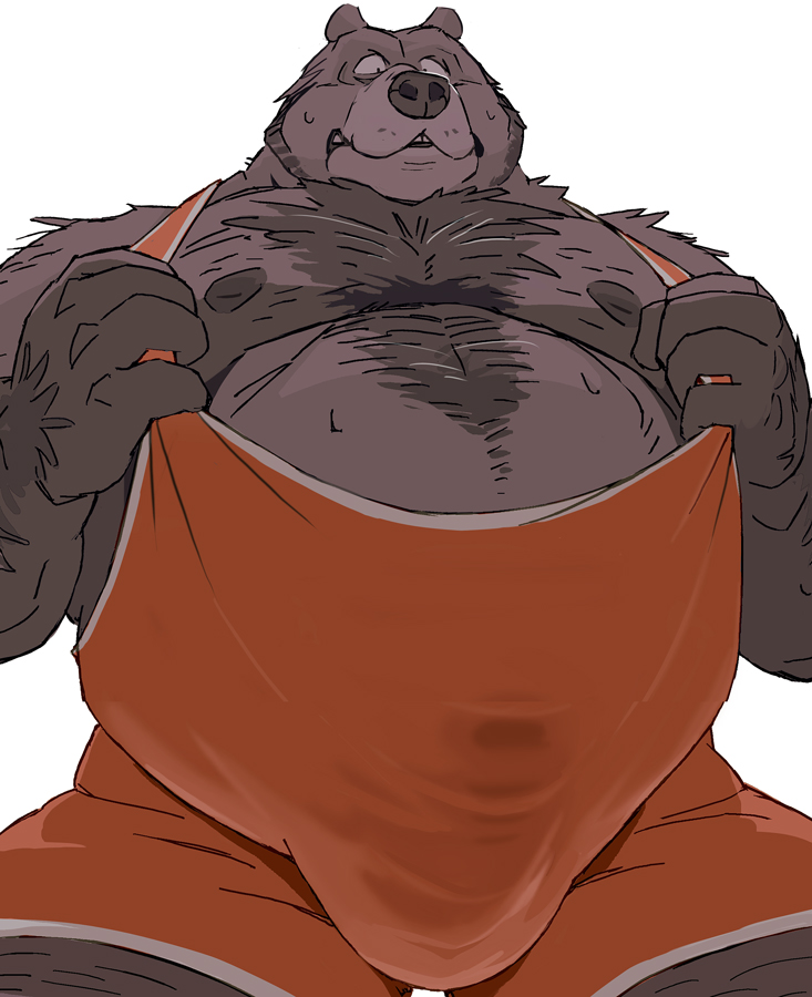 anthro belly body_hair bulge chest_hair detailed_bulge facial_hair genital_outline hairy humanoid_hands male moobs nipples overweight overweight_male penis_outline red_wrestling_singlet simple_background solo white_background wrestling_singlet motogen s_h_bear bear mammal 2021