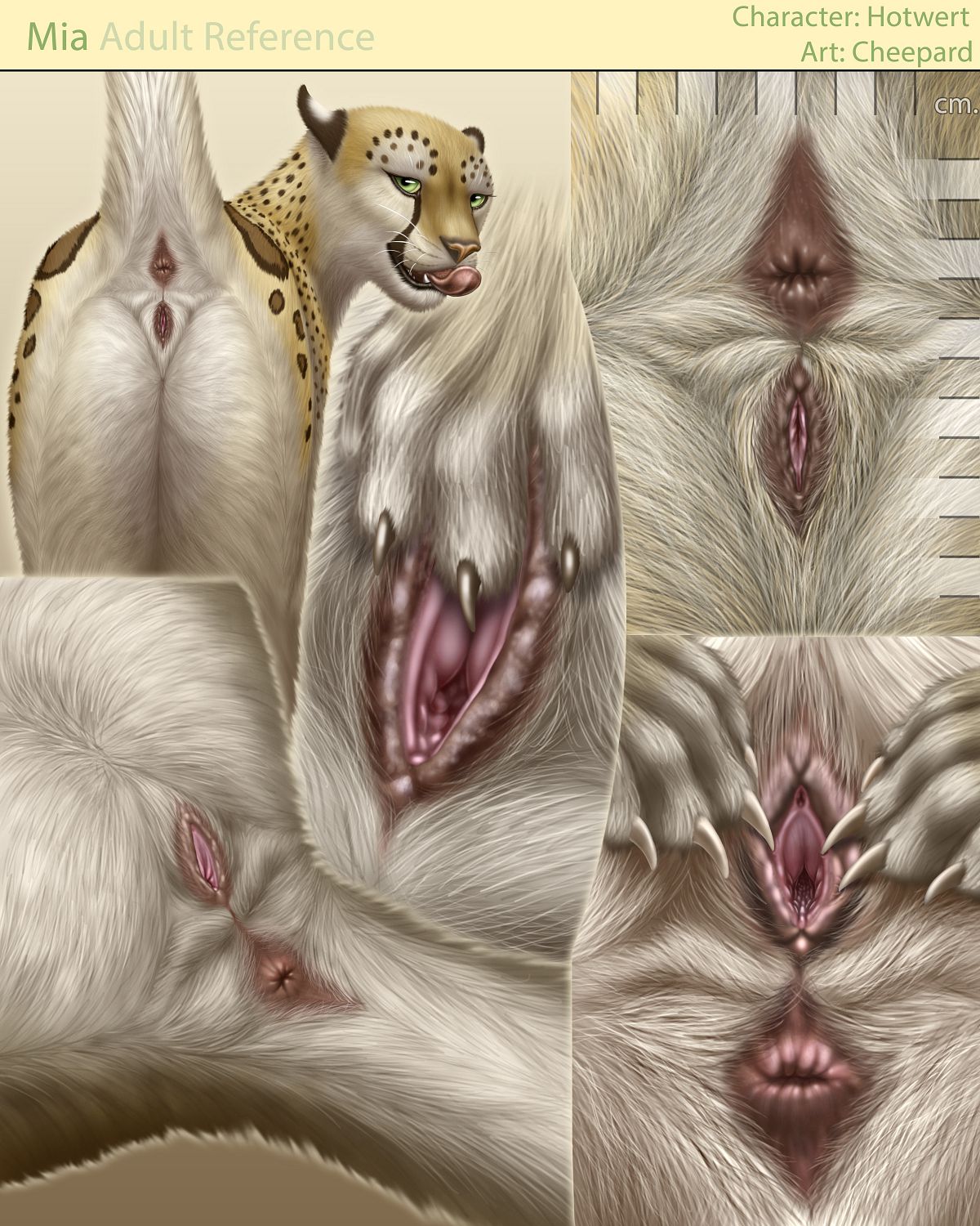 Anatomically Correct Anthro Pussy - Showing Porn Images for Correct anthro porn | www.porndaa.com