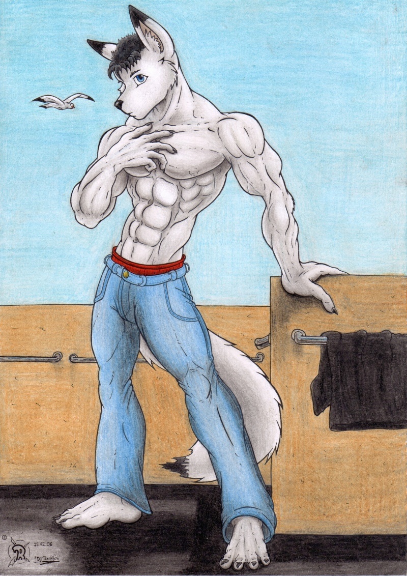 abs anthro barefoot bottomwear clothing denim denim_bottomwear denim_clothing feet jeans male muscular pants shirt solo topwear djdarkfox wolfgangcake arctic_fox avian bird canid canine fox gull lari larid mammal true_fox