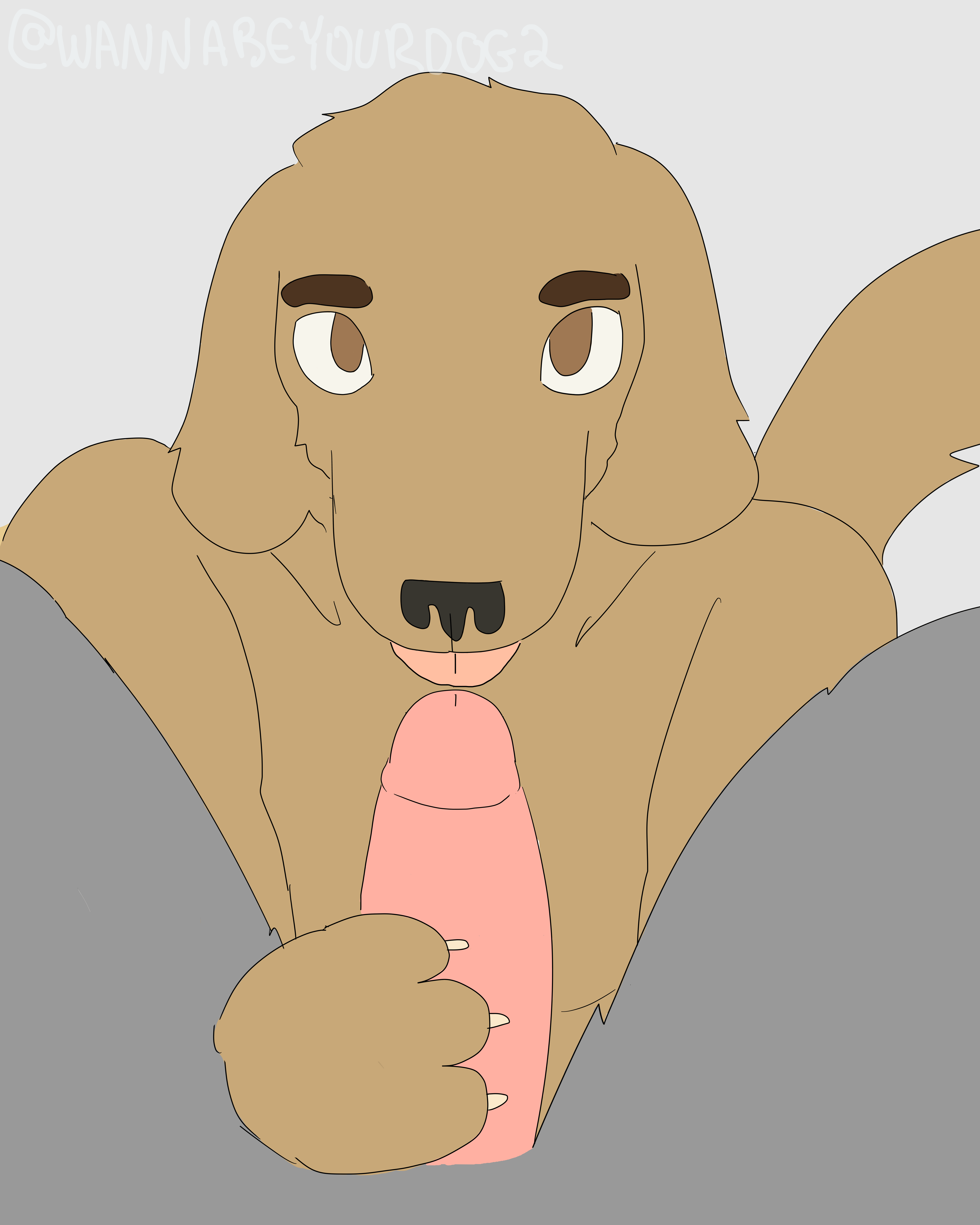 anthro blinking brown_body brown_eyes brown_fur duo erection eyebrows fur genitals holding_penis licking looking_at_viewer looking_up male male/male nude oral penile penis penis_lick pink_penis sex tail tail_motion tailwag tongue tongue_out wannabeyourdog2 sky_(wannabeyourdog2) vic_(wannabeyourdog2) canid canine canis domestic_dog mammal 2d_animation absurd_res animated hi_res story story_in_description