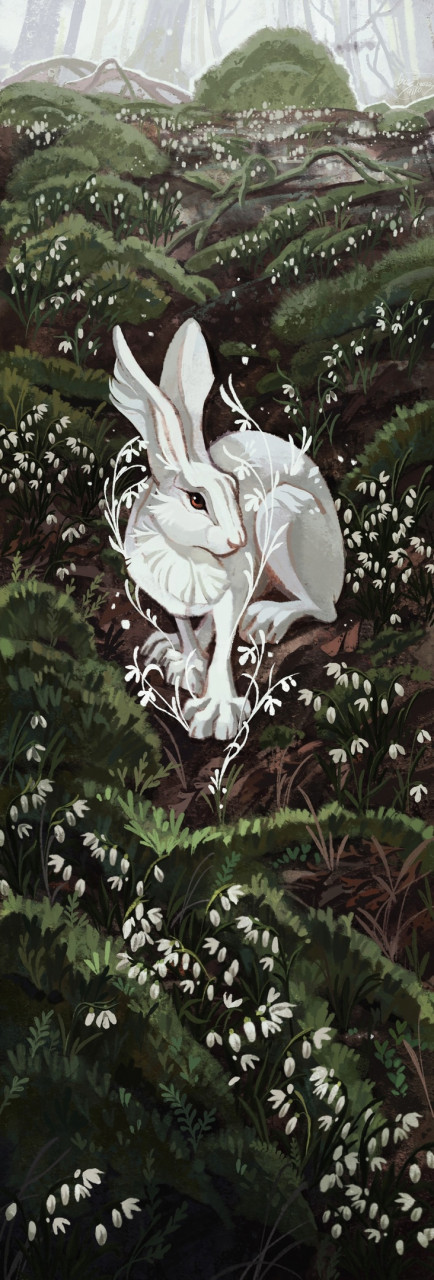 ambiguous_gender brown_eyes day detailed_background feral forest fur grass moss outside paws plant sitting solo tree white_body white_fur geosaiko1267 hare lagomorph leporid mammal 2022 digital_media_(artwork) hi_res