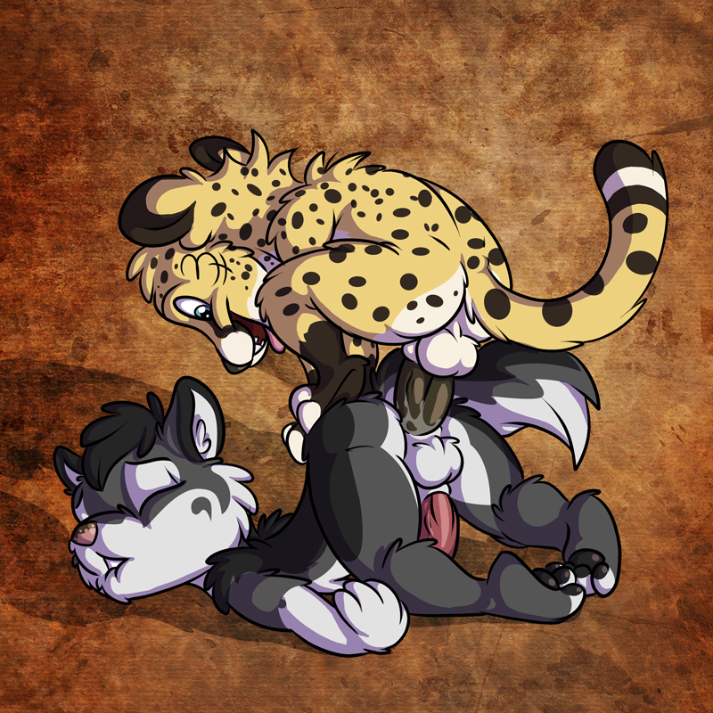 anal animal_genitalia anthro ass_up balls butt chibi duo from_behind_position genitals male male/male open_mouth open_smile pawpads penis sex sheath smile young tyelle_niko canid canine canis cheetah domestic_dog felid feline husky mammal nordic_sled_dog spitz 1:1