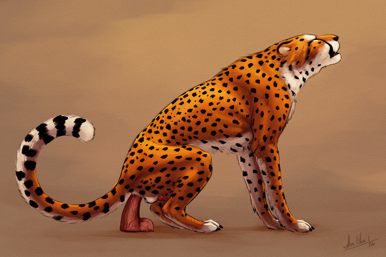 Slideshow cheetah e621.