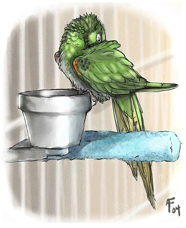 bowl cage container feathers feral folded_wings food_bowl green_body green_feathers green_tail green_wings light male male_feral perching pet_bowl sleeping solo tail tail_feathers wings lyosha talbot_(lyosha) avian bird parakeet parrot true_parrot white-eye_(bird) 2004 colored digital_drawing_(artwork) digital_media_(artwork) english_description lighting low_res shaded signature