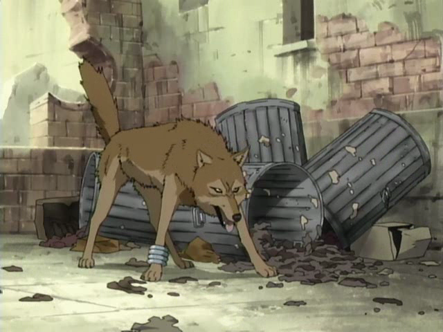 bracelet breath city feral jewelry male outside panting raised_tail screencap solo tail yellow_eyes unknown_artist wolf's_rain toboe_(wolf's_rain) canid canine canis mammal wolf 4:3 colored