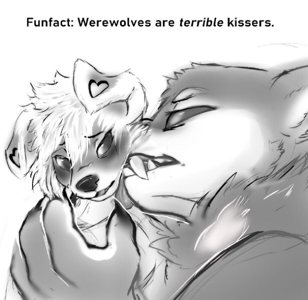 anthro big_fangs biped black_eyes countershade_fur countershading duo fangs floppy_ears fur grey_body grey_fur heart_hole kissing kissing_cheek male size_difference teeth white_body white_countershading white_fur simple_nicks mythology canid canine canis domestic_dog mammal mythological_canine mythological_creature were werecanid werecanine werewolf 2024