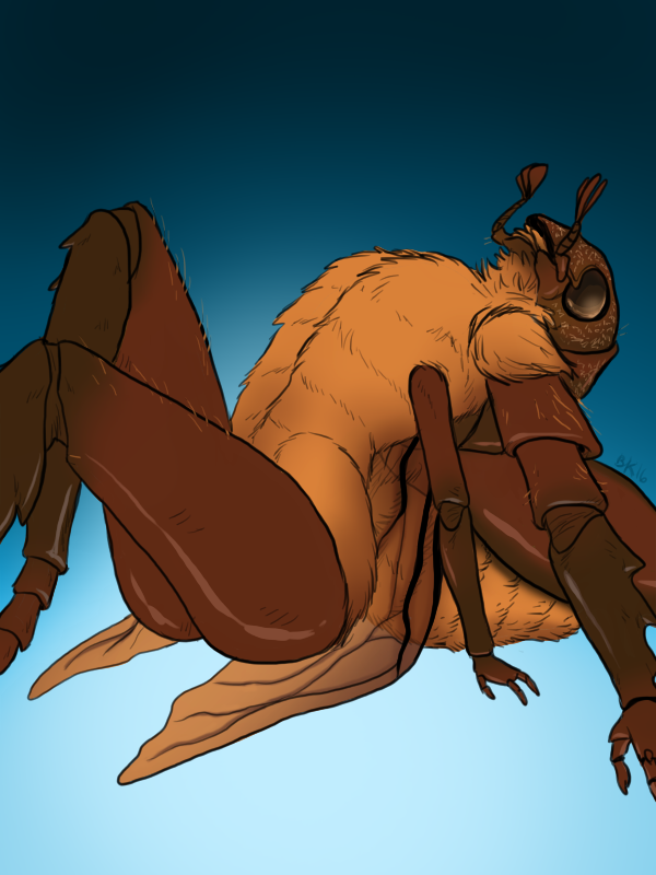 3_fingers 4_arms ambiguous_gender antennae_(anatomy) anthro arm_support arthropod_abdomen athletic athletic_ambiguous athletic_anthro biped black_eyes blue_background brown_body brown_exoskeleton brown_skin brown_wings butt compound_eyes countershade_torso countershading digitigrade exoskeleton fingers flat_chested front_view fur glistening gradient_background insect_wings looking_away looking_up mandibles multi_arm multi_limb nude pose reclining simple_background sitting solo tan_body tan_countershading tan_fur wings noet abc_insects arthropod beetle insect ox_beetle rhinoceros_beetle scarabaeid 2016 3:4 digital_media_(artwork) digital_painting_(artwork) painting_(artwork) portrait three-quarter_portrait