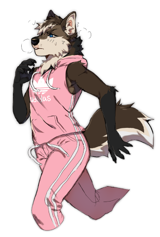 anthro athletic_wear black_nose blue_eyes bodily_fluids bottomwear brown_body brown_fur brown_hair clothing fur grey_body grey_fur hair jogging male mane multicolored_body multicolored_fur multicolored_hair pattern_clothing pink_bottomwear pink_clothing pink_topwear simple_background sleeveless_hoodie solo striped_clothing stripes sweat tan_body tan_fur tan_hair topwear tracksuit white_background kasusei maremare sei_kasu adidas foshka canid canine mammal maned_wolf 2021 digital_drawing_(artwork) digital_media_(artwork)