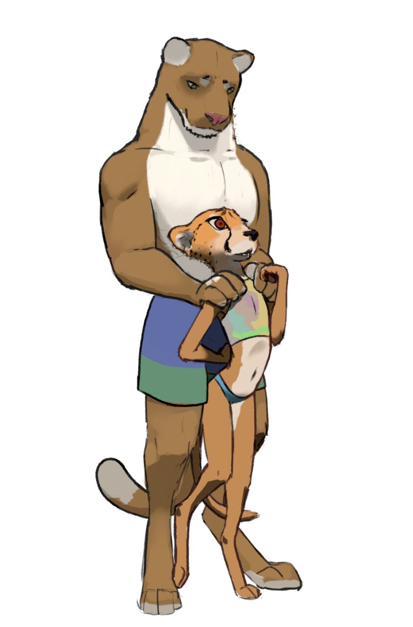 anthro athletic_wear clothed clothing duo female male scared size_difference skimpy skinny swimwear young young_anthro southnorth cheetah felid feline mammal hi_res