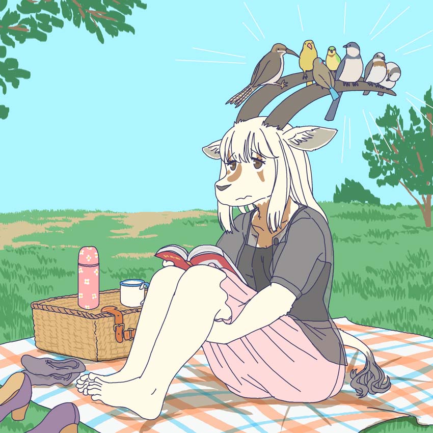 ambiguous_gender anthro barefoot book clothed clothing feet female feral group horn humanoid_feet kemono plantigrade tail ekaki510 antelope arabian_oryx avian bird bovid grazing_antelope mammal oryx 1:1