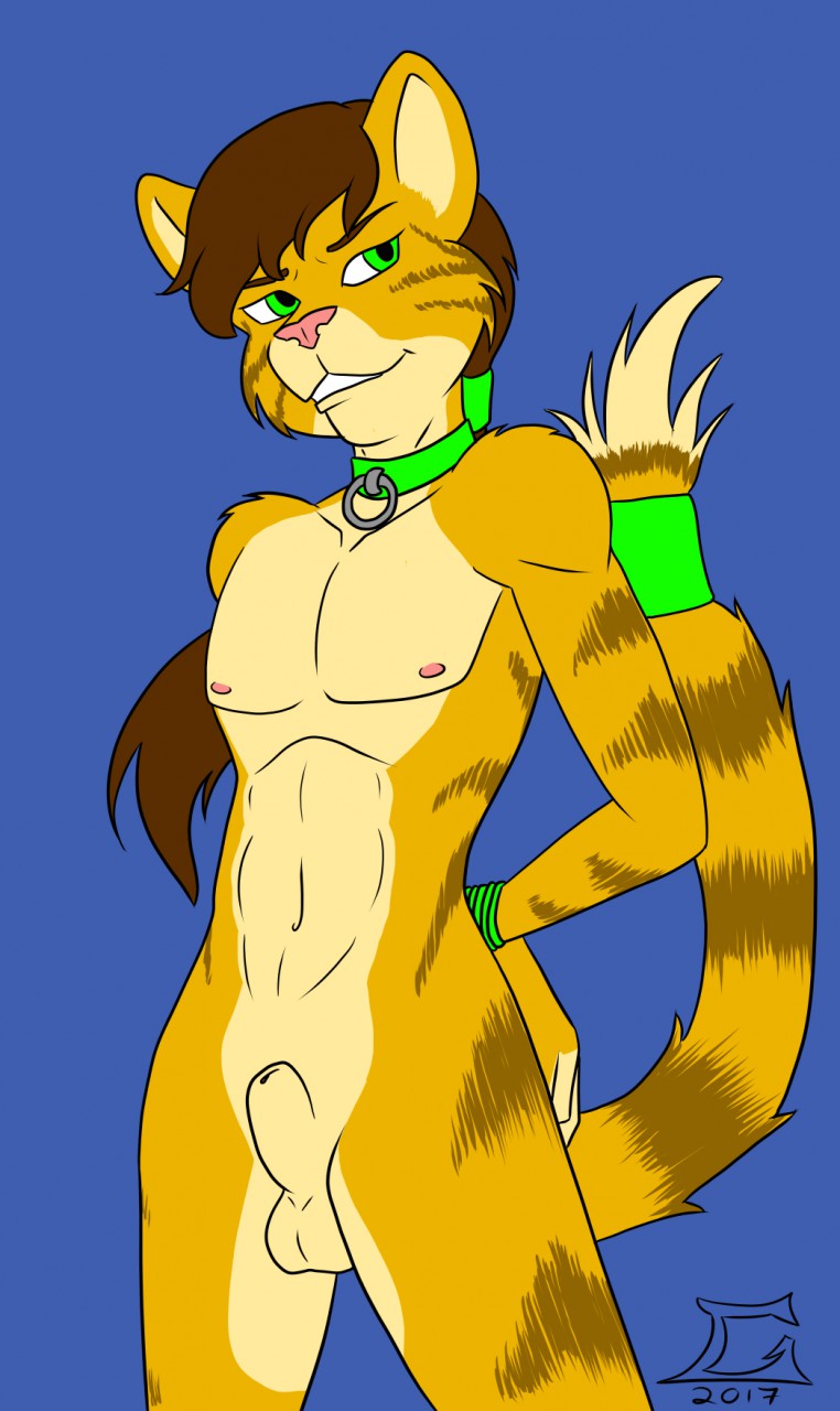 anthro biped blue_background bound brown_hair collar collar_only genitals green_collar green_eyes green_rope hair hands_tied male nude penis pink_nose rope simple_background solo goliathcpg felid feline mammal 2017 hi_res