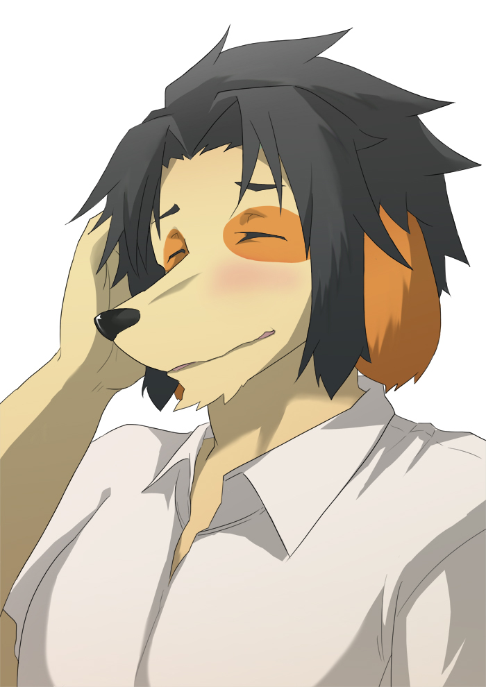 anthro black_hair black_nose blush clothing eyes_closed fur hair male shirt simple_background solo topwear white_background yellow_body yellow_fur mottirimoto morenatsu kyouji_(morenatsu) bird_dog canid canine canis domestic_dog hunting_dog labrador mammal retriever 2014