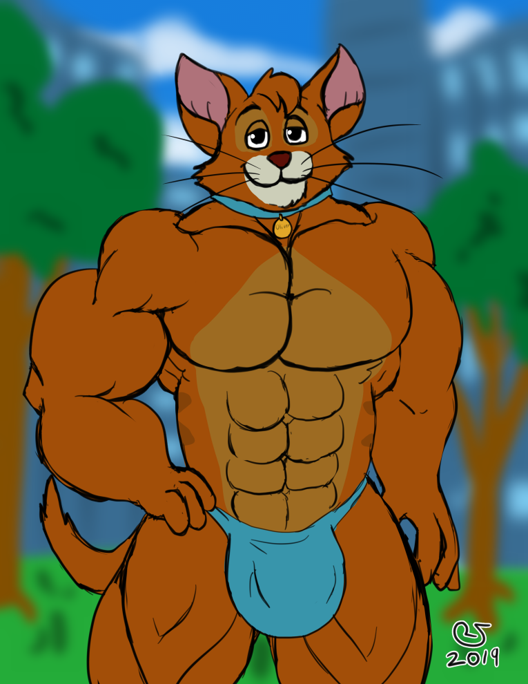 abs anthro anthrofied clothing collar fur male muscular muscular_anthro muscular_male orange_body solo whiskers caseyljones disney oliver_and_company oliver_(disney) domestic_cat felid feline felis mammal tabby_cat