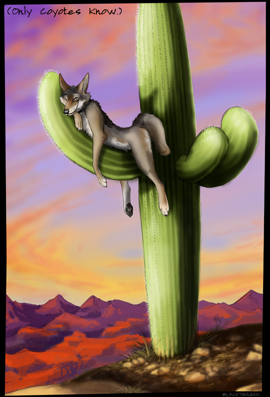 anthro cactus cloud desert eyes_closed male nude outside plant saguaro sky sleeping solo tail blackteagan canid canine canis coyote mammal 2008