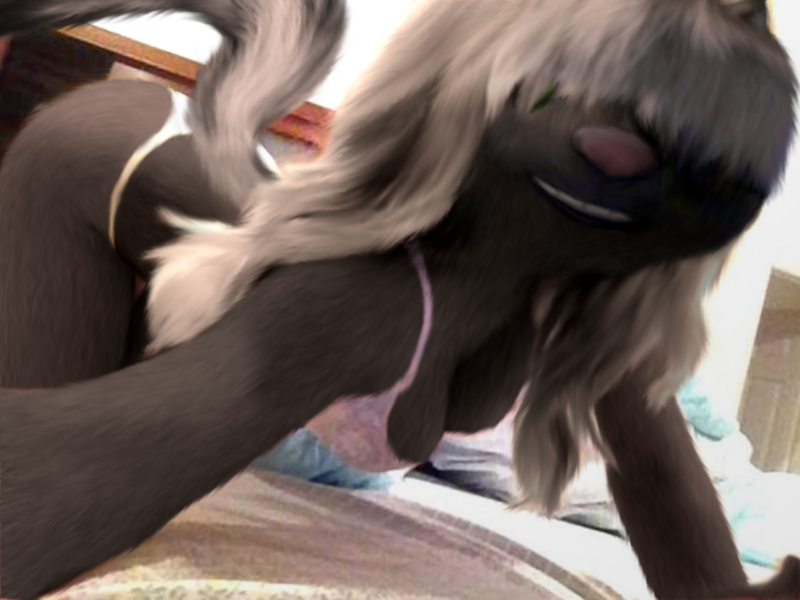 anthro anthrofied bangs bed big_butt bra breasts butt cleavage clothed clothing female furniture hair long_hair selfie solo underwear oystercatcher7 third-party_edit dreamworks over_the_hedge stella_(over_the_hedge) mammal mephitid skunk 4:3 photo_manipulation photomorph