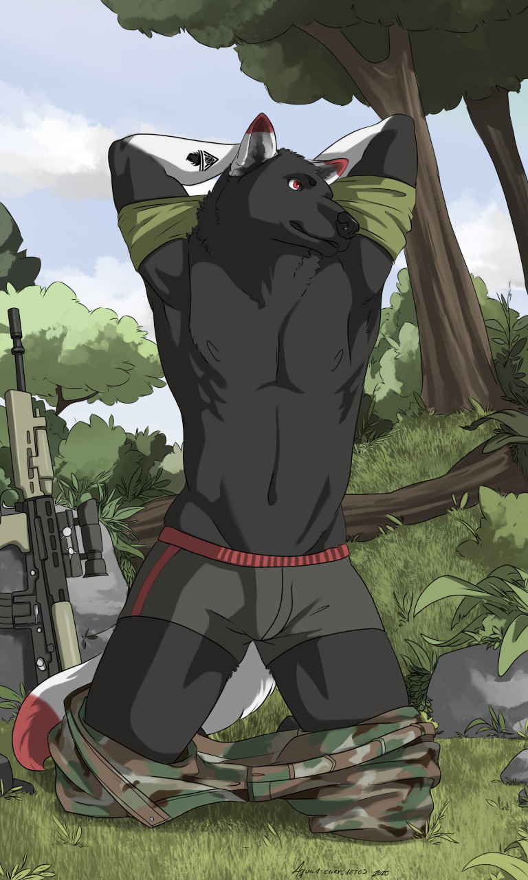 anthro black_body black_fur bulge clothing front_view fur grass gun kneeling male navel outside plant ranged_weapon red_eyes rifle rock sniper_rifle solo tree underwear weapon aquila_chrysaetos mitter-nacht canid canine canis mammal wolf 2020 3:5 hi_res signature