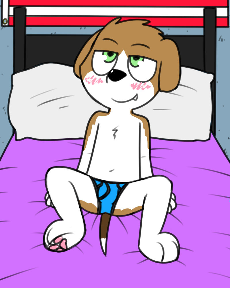 anthro bed black_seam_underwear blue_briefs blue_clothing blue_underwear blush briefs brown_body brown_fur bulge clothed clothing colored_seam_underwear fur furniture green_eyes male solo underwear white_body white_fur young young_anthro pokefound ollie_(pokefound) beagle canid canine canis domestic_dog hunting_dog mammal scent_hound 4:5