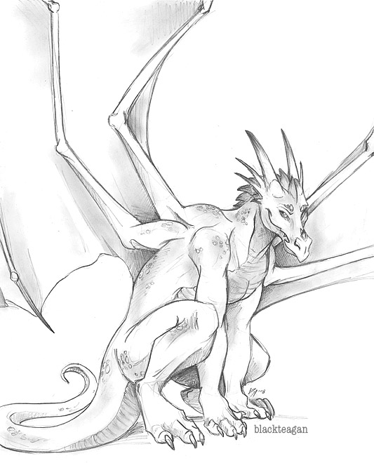 4_wings 5_fingers 5_toes all_fours anthro arm_support claws crouching digitigrade feet fingers horn looking_aside looking_at_viewer multi_wing nude simple_background smile solo tail toes white_background wings blackteagan european_mythology mythology dragon mythological_creature mythological_scalie scalie western_dragon 2008 monochrome