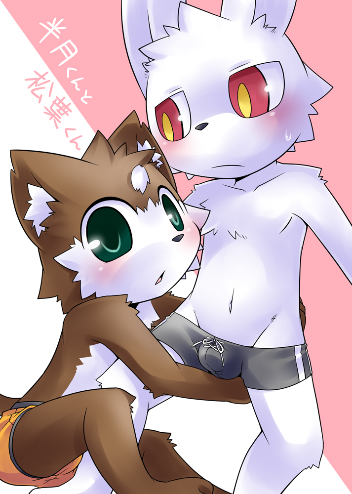 anthro blush bottomwear brown_body brown_fur bulge clothed clothing duo fur green_eyes inner_ear_fluff male male/male pupils red_eyes shorts skimpy topless tuft v-cut white_body white_fur yellow_pupils young young_anthro ko-gami hantsuki_(ko-gami) matsuba_(ko-gami) canid canine canis domestic_dog lagomorph leporid mammal rabbit