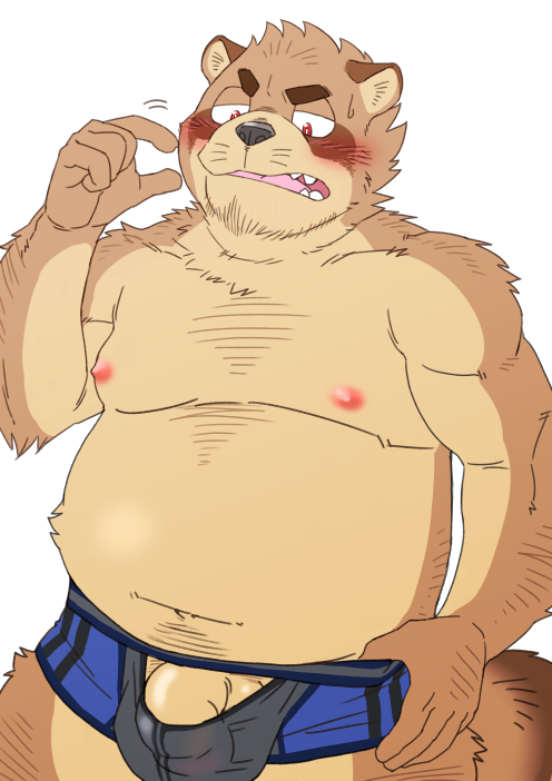 anthro belly blush brown_body brown_fur bulge clothing fur genitals humanoid_hands kemono male moobs navel nipples overweight overweight_anthro overweight_male penis simple_background solo underwear white_background ryuta-h canid canine mammal raccoon_dog tanuki 2018