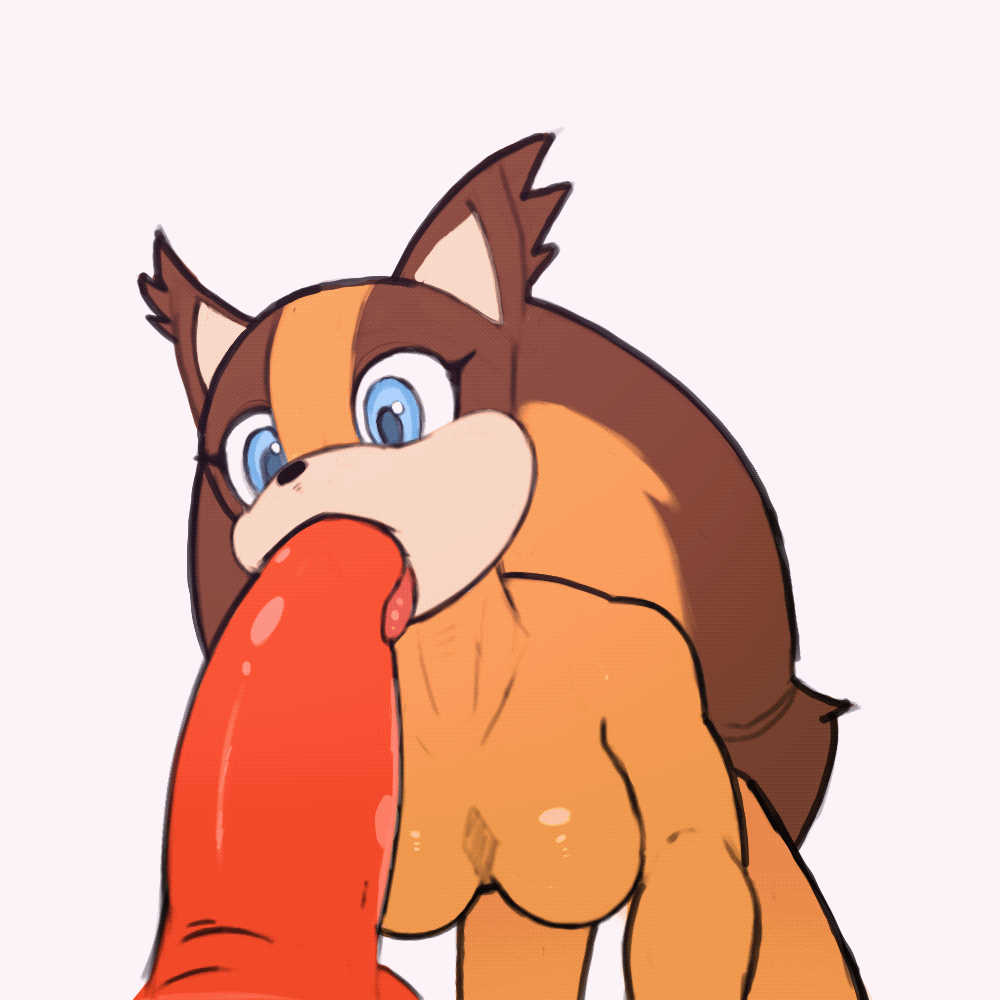 Sonic Porn Gif - Knuckles The Echidna And Sticks The Jungle Badger (sonic The Hedgehog  (series) And Etc) Drawn By Narley | Yiff-party.com