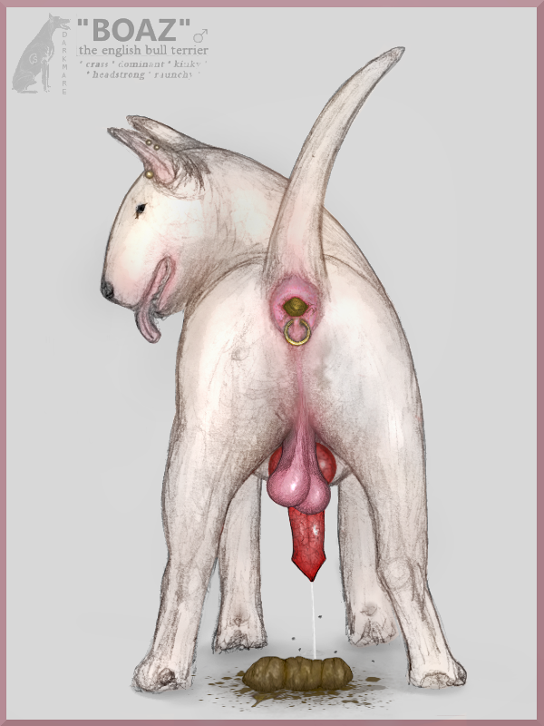 anal_piercing animal_genitalia animal_penis anus balls bodily_fluids butt canine_genitalia canine_penis cum cumming_while_shitting ejaculation erection feces feral fur genital_fluids genitals knot looking_at_viewer looking_back male penis piercing pink_anus pink_balls pooping presenting presenting_hindquarters realistic_feral saggy_balls scatplay solo text tongue tongue_out uneven_balls vein veiny_penis white_body white_fur darkmare boaz_(darkmare) bull_terrier canid canine canis domestic_dog hunting_dog mammal terrier 3:4