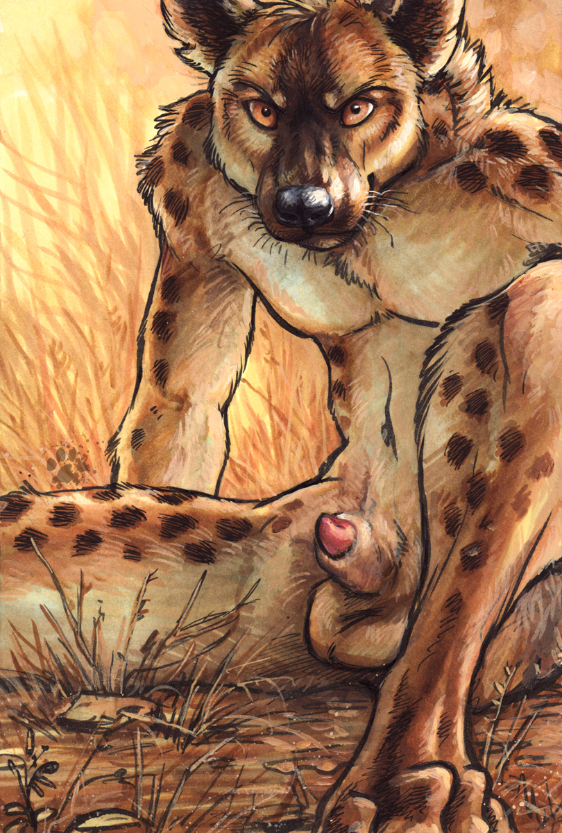 amber_eyes animal_genitalia animal_penis anthro balls biped canine_genitalia canine_penis detached_sheath feet fur genitals half-erect hindpaw looking_at_viewer male paws penis penis_tip sheath simple_background sitting solo spots spread_legs spreading tan_body tan_fur whiskers blotch hyena mammal spotted_hyena 2012 hi_res restricted_palette