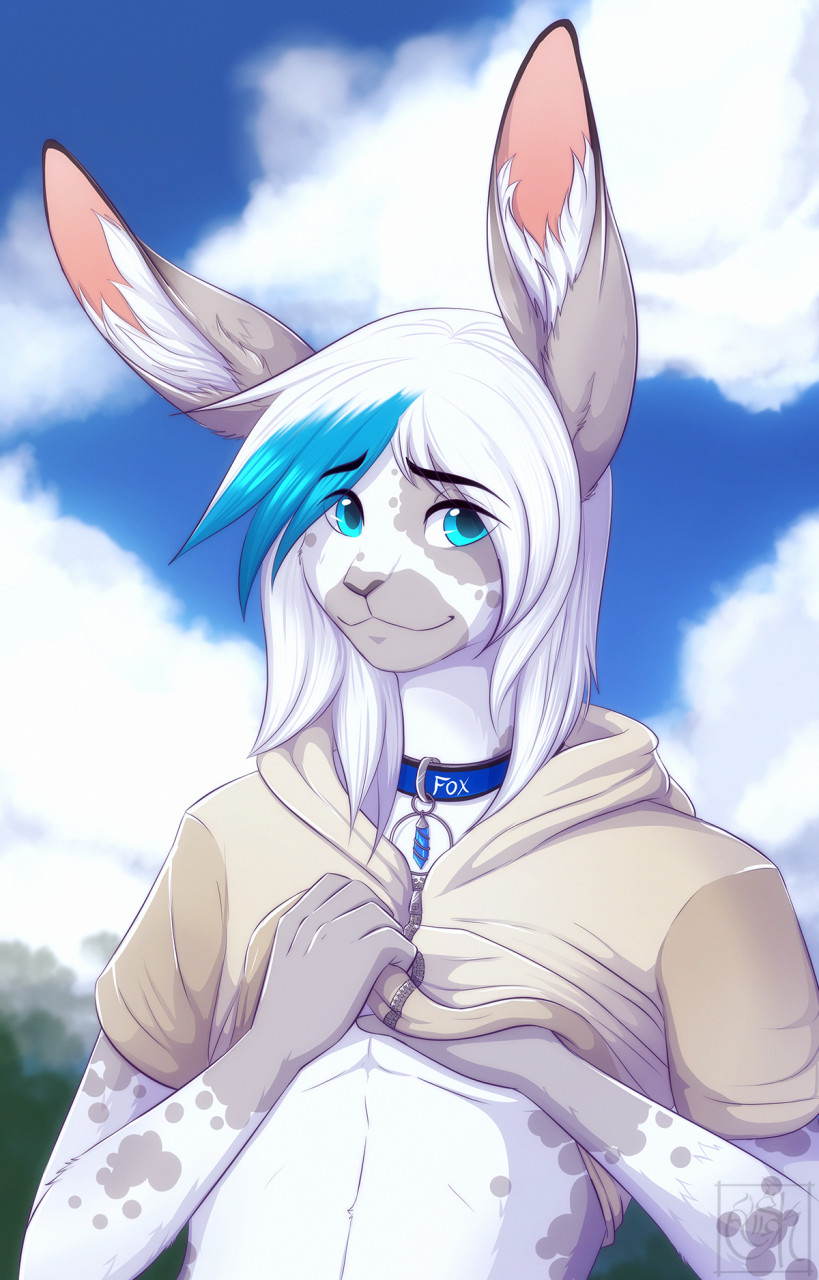 anthro blue_eyes clothed clothing collar day detailed_background eyebrows eyelashes hair hoodie looking_at_viewer male outside sky smile solo topwear white_hair silvyr lagomorph leporid mammal rabbit 2022 digital_media_(artwork) hi_res