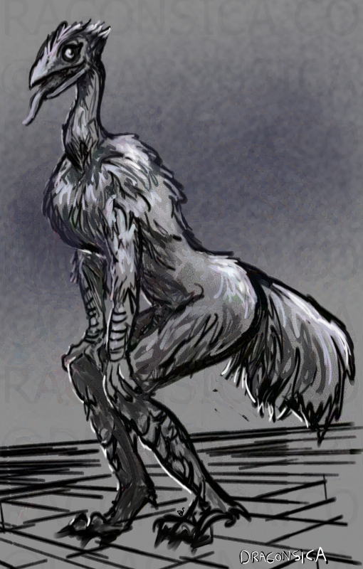 anthro feathers feet hands_on_knees hands_on_legs male simple_background solo standing tail tail_feathers talons toes tongue tongue_out dragonsica dungeons_and_dragons dwarf_fortress hasbro wizards_of_the_coast avian bird emu ratite 2020 monochrome