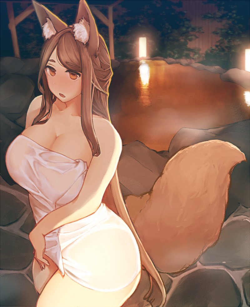 big_breasts blush breasts brown_eyes brown_hair butt cleavage clothed clothing detailed_background female fluffy fluffy_tail glistening hair hot_spring huge_breasts inner_ear_fluff lamp lantern light_body light_skin long_hair looking_at_viewer night onsen open_mouth outside plant reflection rock solo standing tail tight_clothing towel towel_only translucent translucent_clothing tree tuft water water_reflection wet wet_clothing wide_hips mog_(artist) animal_humanoid canid canid_humanoid canine canine_humanoid fox_humanoid humanoid mammal mammal_humanoid