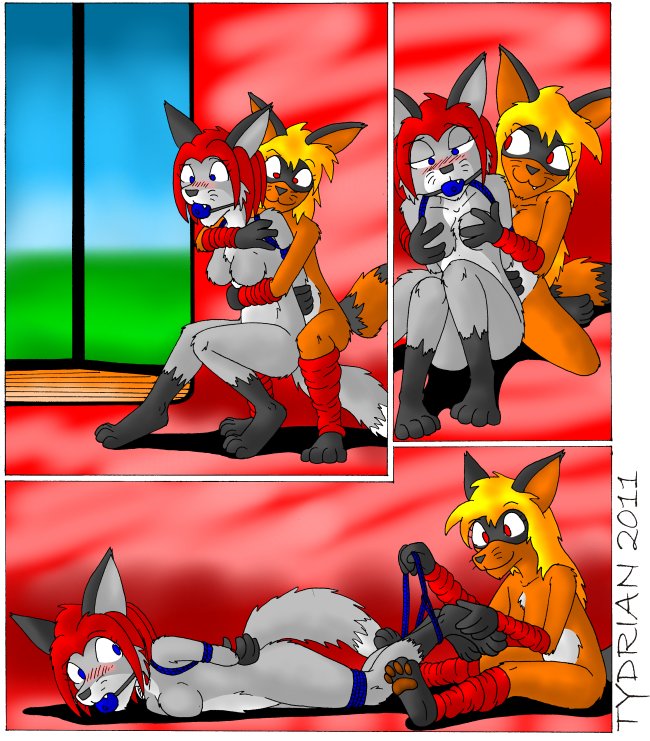 anthro arm_warmers armwear ball_gag bdsm blush bondage bound breasts clothing duo female fondling gag gagged leg_warmers legwear nude rope studio tail tydrian cristan zennie canid canine fox mammal procyonid raccoon comic