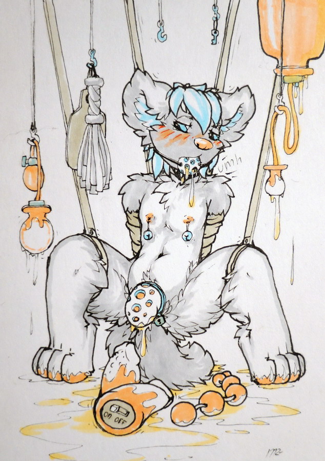 anal_beads anthro ball_gag bdsm bell blue_eyes blush bodily_fluids bondage bound buttplug cat_o'_nine_tails chastity_cage chastity_device cum dildo enema_bag flaccid fur gag genital_fluids genitals grey_body grey_fur hands_behind_back inflatable_buttplug male male_peeing navel nipple_bell nipple_fetish nipple_piercing nipple_play nipples paddle pawpads peeing penis piercing plug_(sex_toy) sex_toy sex_toy_background solo straps urine urine_in_mouth urine_on_ground vibrator watersports whip young addickted canid canine canis domestic_dog husky mammal nordic_sled_dog spitz traditional_media_(artwork)