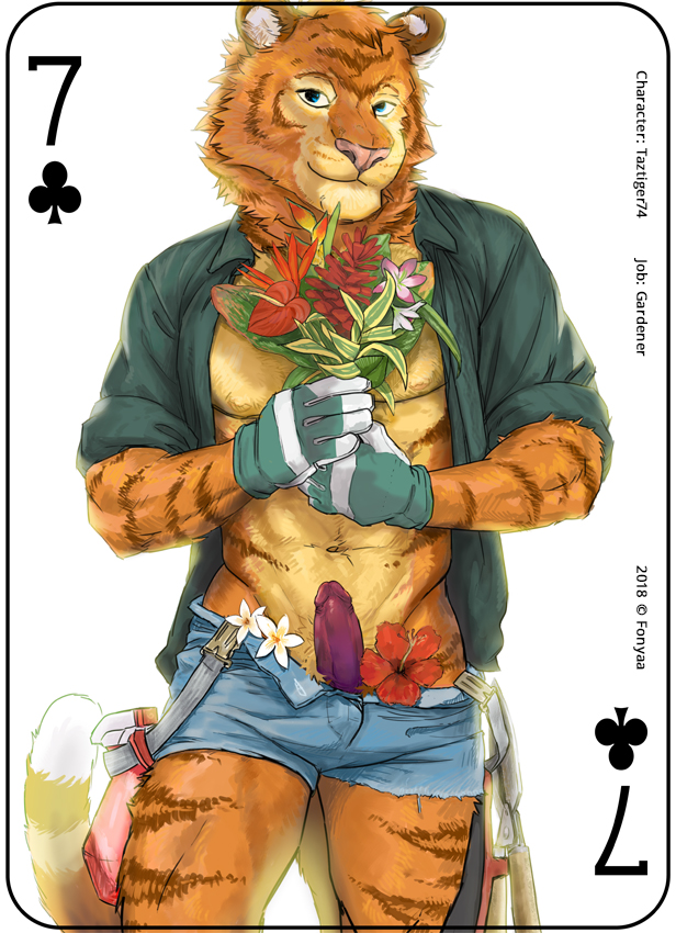 abs anthro card card_template clothed clothing clubs_(suit) copyright_symbol erection flower fur gardener genitals gloves handwear holding_object looking_at_viewer male muscular muscular_anthro muscular_male navel orange_body orange_fur pecs penis plant playing_card playing_card_template seven_of_clubs shirt simple_background smile solo standing striped_body striped_fur stripes suit_symbol symbol text topwear white_background fonyaa felid mammal pantherine tiger 2018 digital_media_(artwork) english_text