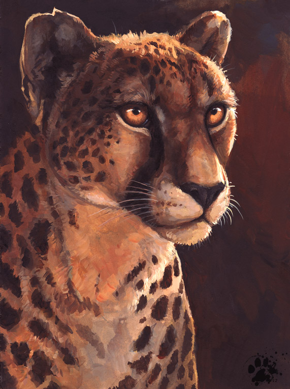 ambiguous_gender black_nose brown_background feral fur markings multicolored_body multicolored_fur orange_eyes realistic simple_background solo spots spotted_body spotted_fur whiskers yellow_eyes blotch cheetah felid feline mammal 2012 detailed