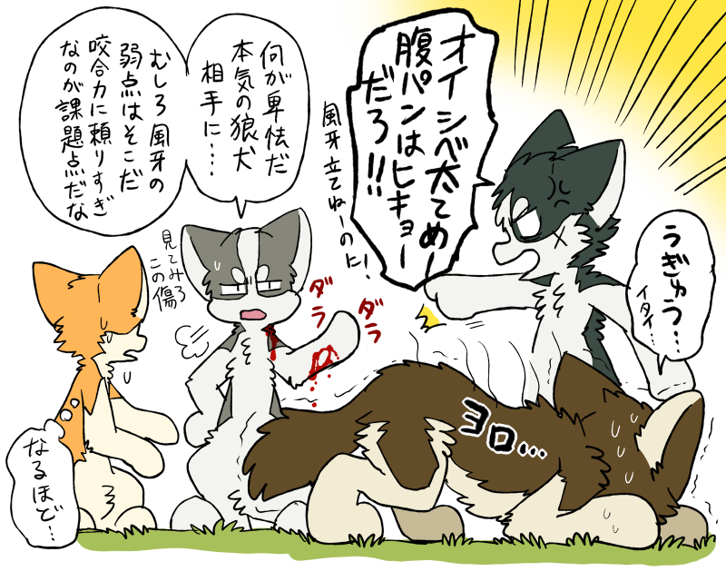 all_fours angry bite_mark blood bodily_fluids brown_body brown_fur countershading cross-popping_vein dialogue feral fur grass grey_body grey_fur group looking_at_another orange_body orange_fur pain plant quadruped scar semi-anthro simple_background standing sweat text white_body white_fur wounded ayaka a-chan fuuga kyappy shibeta canid canine canis domestic_dog husky hybrid mammal nordic_sled_dog shiba_inu siberian_husky spitz wolfdog 5:4 japanese_text translated brother_(lore) brothers_(lore) female_(lore) male_(lore) sibling_(lore)