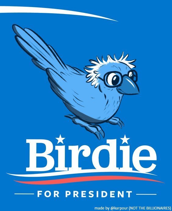 ambiguous_gender beak blue_background blue_body blue_feathers eyewear feathers feral glasses humor politics simple_background solo text karpour bernie_sanders birdie_sanders avian bird 2016 blue_theme english_text meme