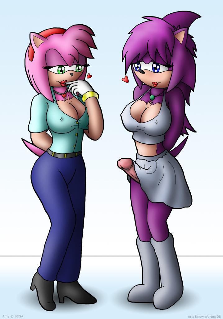 anthro big_breasts breasts duo erection female genitals gynomorph gynomorph/female heart_symbol intersex intersex/female nipples penis knownvortex sega sonic_the_hedgehog_(series) sonic_underground amy_rose queen_aleena_hedgehog eulipotyphlan hedgehog mammal