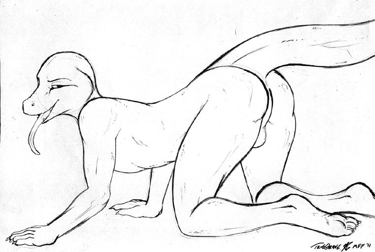 5_fingers 5_toes all_fours anthro balls biped butt claws feet fingers genitals long_tail long_tongue looking_at_viewer male nude open_mouth perineum presenting presenting_hindquarters seductive side_view simple_background snout solo tail toe_claws toes tongue tongue_out white_background truegrave9 spazz_(stripes) lizard reptile scalie 2011 black_and_white full-length_portrait line_art monochrome pen_(artwork) portrait signature traditional_media_(artwork)