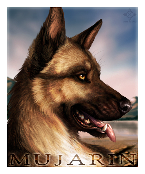 anthro black_nose border brown_body brown_fur day detailed_fur fur male orange_eyes outside side_view sky solo teeth text tongue tongue_out whiskers white_border cedarwolf mujarin canid canine canis domestic_dog german_shepherd herding_dog mammal pastoral_dog 2014 5:6 character_name detailed headshot_portrait portrait