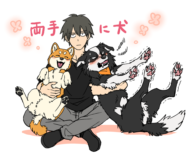 alternate_species ambiguous_gender angry blush countershading feral group happy humanized male multicolored_body smile text ayaka anna_(ayaka) kyappy shibeta canid canine canis collie domestic_dog herding_dog human mammal pastoral_dog sheepdog shiba_inu spitz 2021 japanese_text