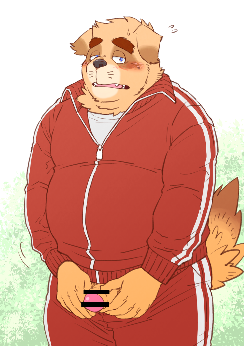 anthro blush bottomwear brown_body brown_fur clothing cute_fangs fangs fur genitals humanoid_hands kemono male overweight overweight_anthro overweight_male pants penis shirt solo teeth topwear ryuta-h canid canine canis domestic_dog mammal 2018 censored hi_res