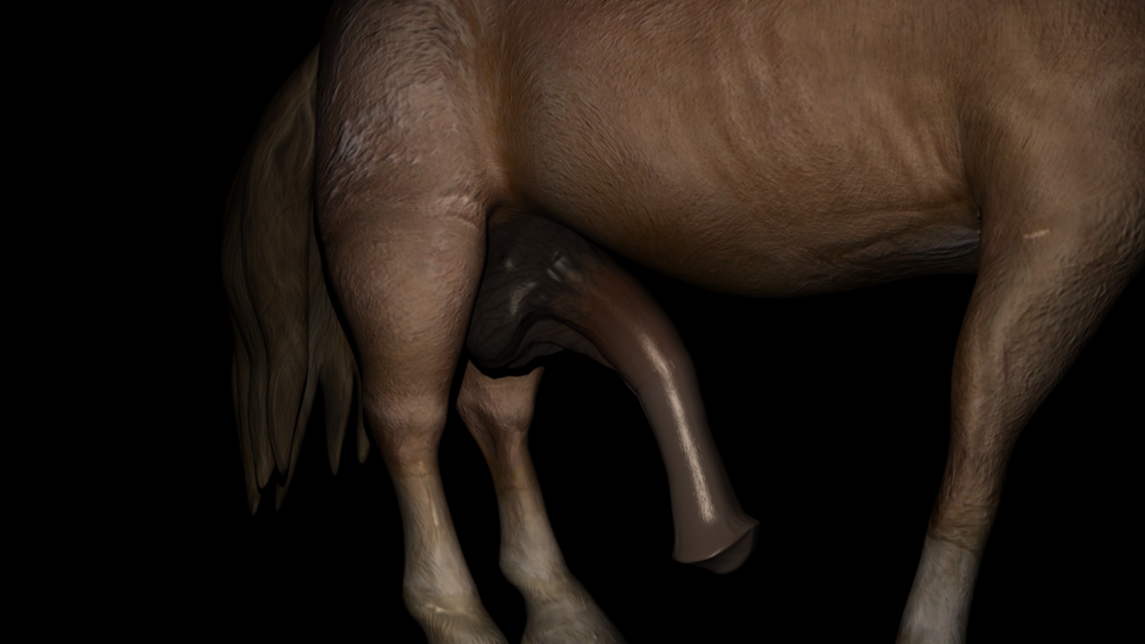 Horse penis flare